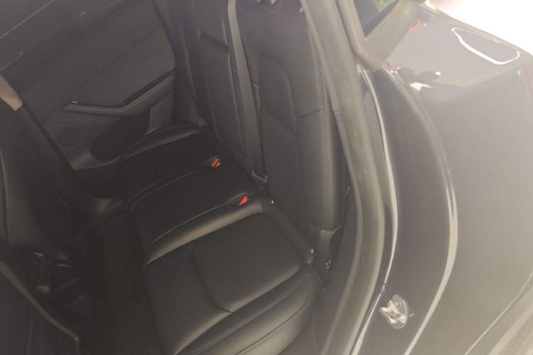 Used Tesla Model Y 2024 Rear-Wheel-Drive Version Left Rear Seat