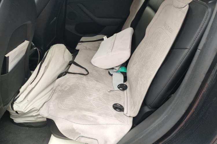 Used Tesla Model Y 2024 Rear-Wheel-Drive Version Left Rear Seat