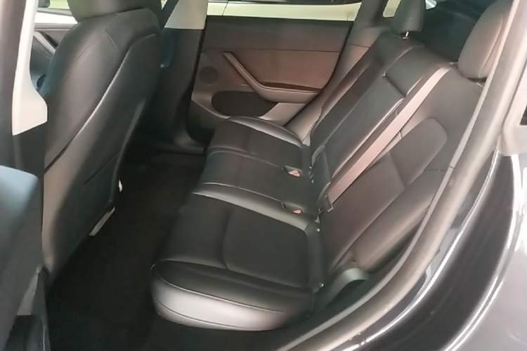 Used Tesla Model Y 2024 Rear-Wheel-Drive Version Left Rear Seat
