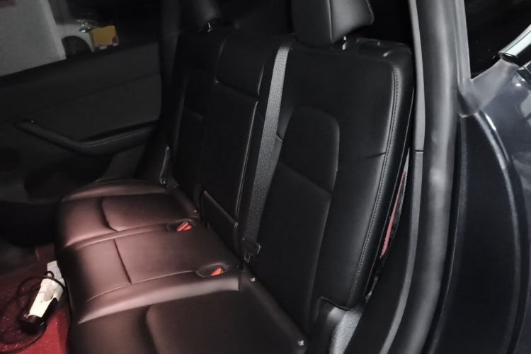 Used Tesla Model Y 2024 Rear-Wheel-Drive Version Left Rear Seat