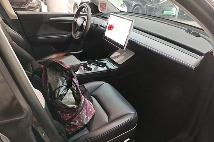 Used Tesla Model Y 2024 Rear-Wheel-Drive Version Right Front Seat