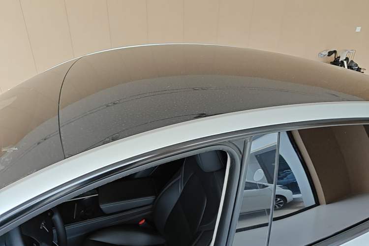 Used Tesla Model Y 2024 Rear-Wheel-Drive Version Roof