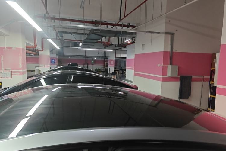 Used Tesla Model Y 2024 Rear-Wheel-Drive Version Roof