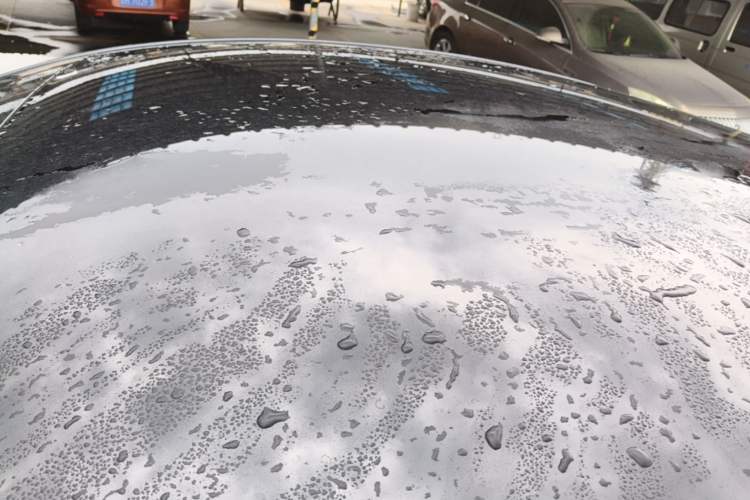 Used Tesla Model Y 2024 Rear-Wheel-Drive Version Roof