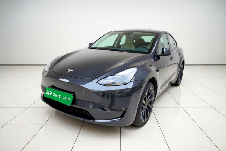 Tesla Model Y 2024 Long-Range All-Wheel-Drive Version