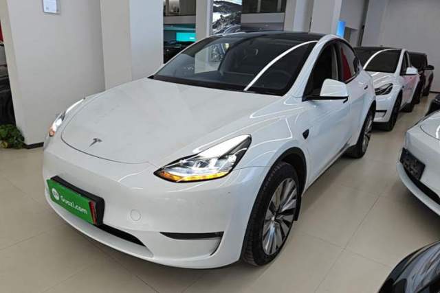 Used Tesla Model Y 2024 Long-Range All-Wheel-Drive Version