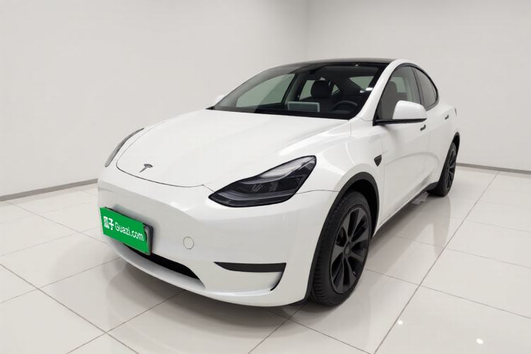 Tesla Model Y 2024 Rear-Wheel-Drive Version