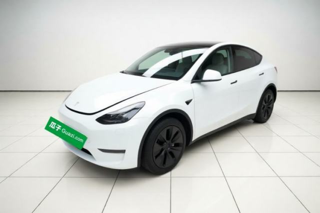 Tesla Model Y 2024 Long-Range All-Wheel-Drive Version مستعملة