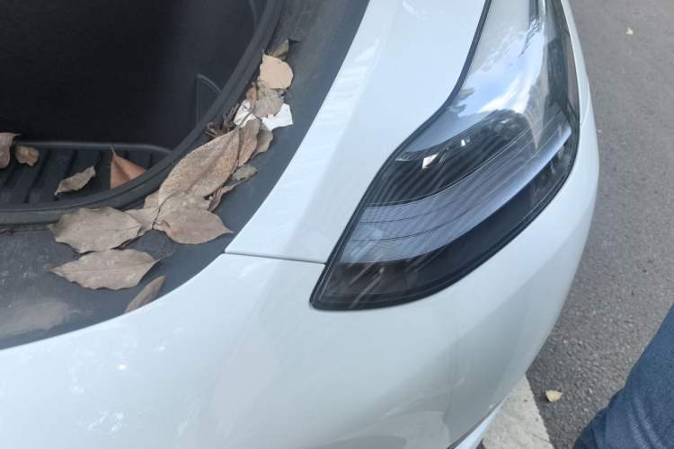 Used Tesla Model Y 2024 Rear-Wheel-Drive Version Engine Bay Left