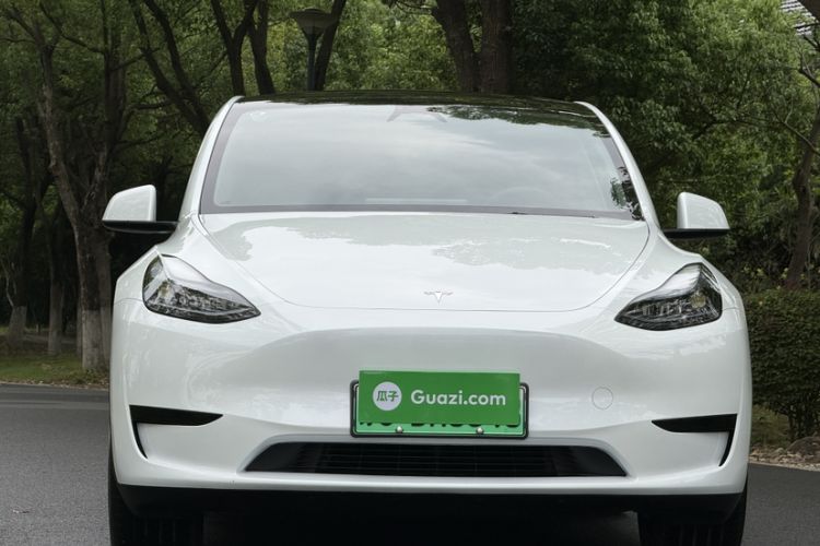 Used Tesla Model Y 2024 Rear-Wheel-Drive Version Exterior 1