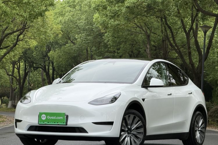 Used Tesla Model Y 2024 Rear-Wheel-Drive Version Exterior 2