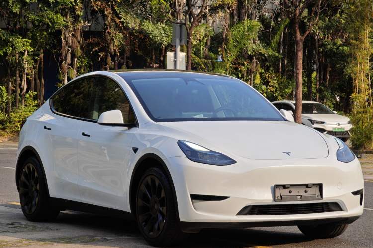 Used Tesla Model Y 2024 Rear-Wheel-Drive Version Exterior 2