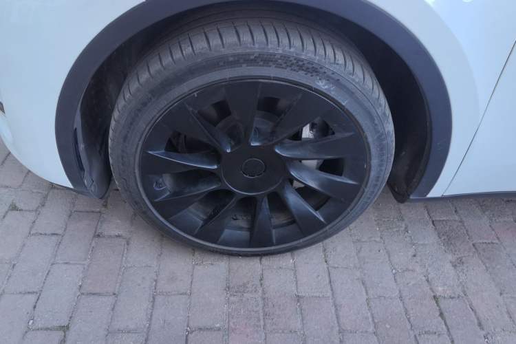 Used Tesla Model Y 2024 Rear-Wheel-Drive Version Exterior 3