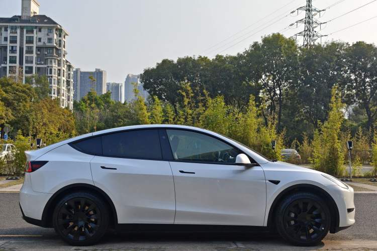 Used Tesla Model Y 2024 Rear-Wheel-Drive Version Exterior 3
