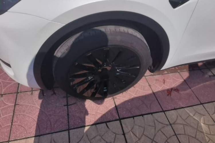 Used Tesla Model Y 2024 Rear-Wheel-Drive Version Exterior 4