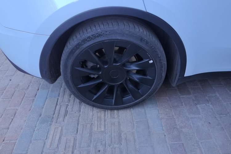 Used Tesla Model Y 2024 Rear-Wheel-Drive Version Exterior 4
