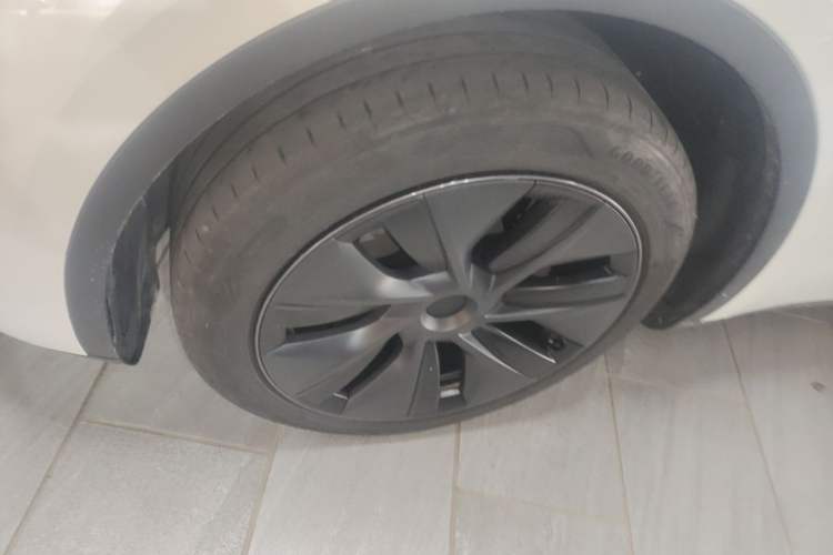 Used Tesla Model Y 2024 Rear-Wheel-Drive Version Exterior 4