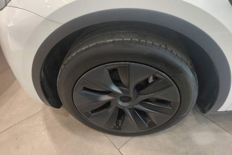 Used Tesla Model Y 2024 Rear-Wheel-Drive Version Exterior 4