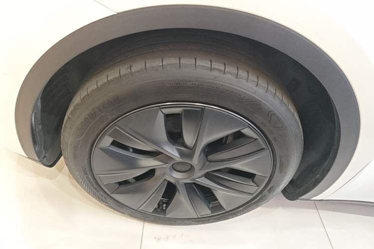 Used Tesla Model Y 2024 Rear-Wheel-Drive Version Exterior 4