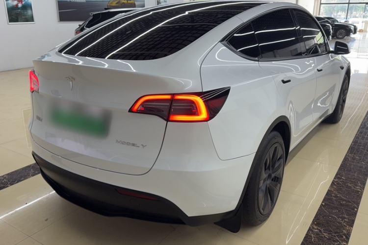 Used Tesla Model Y 2024 Rear-Wheel-Drive Version Exterior 4