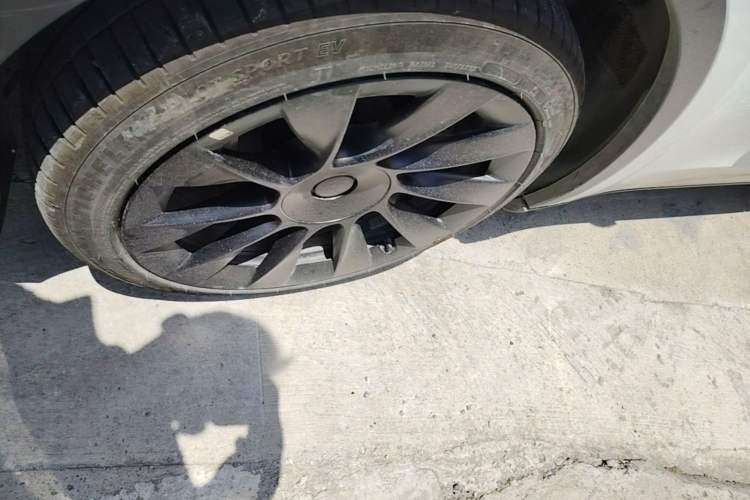 Used Tesla Model Y 2024 Rear-Wheel-Drive Version Exterior 4