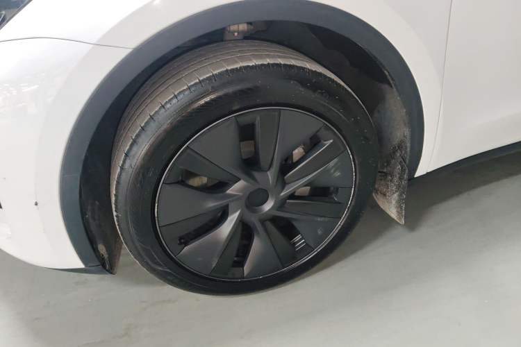 Used Tesla Model Y 2024 Rear-Wheel-Drive Version Exterior 4