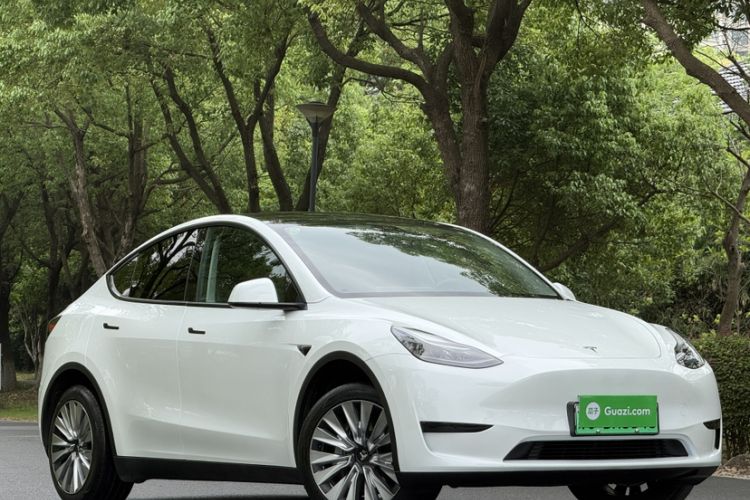 Used Tesla Model Y 2024 Rear-Wheel-Drive Version Exterior 4