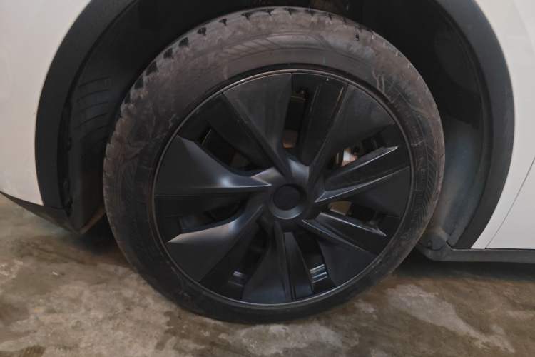 Used Tesla Model Y 2024 Rear-Wheel-Drive Version Exterior 4