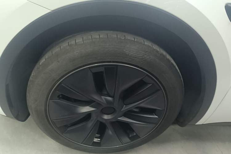 Used Tesla Model Y 2024 Rear-Wheel-Drive Version Exterior 4