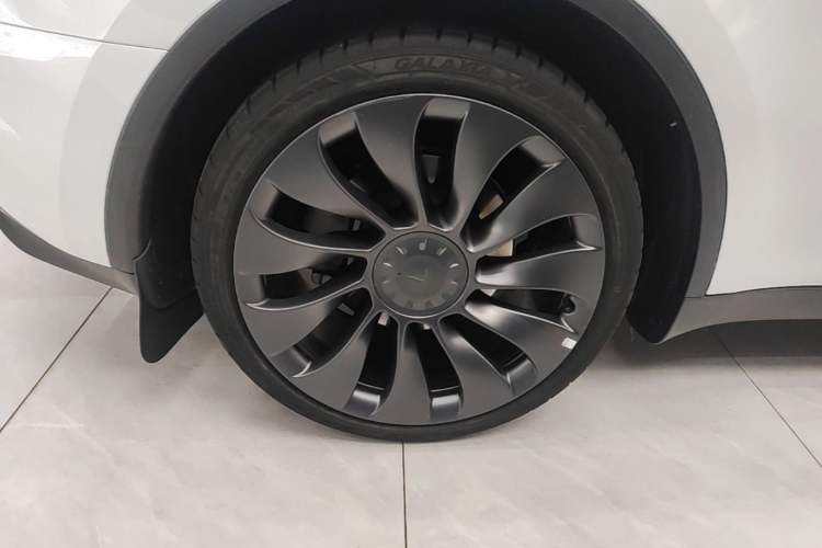Used Tesla Model Y 2024 Rear-Wheel-Drive Version Exterior 5