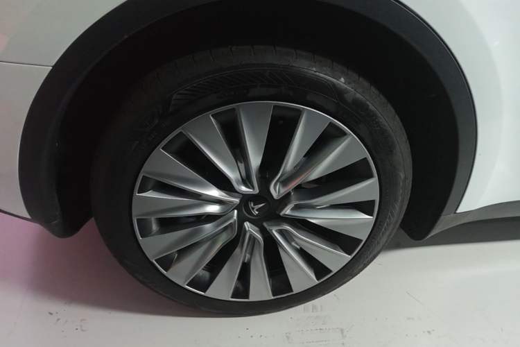 Used Tesla Model Y 2024 Rear-Wheel-Drive Version Exterior 5