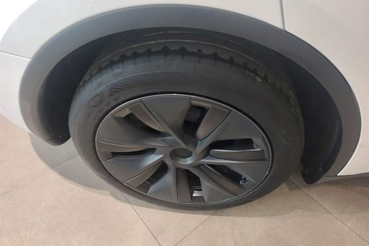 Used Tesla Model Y 2024 Rear-Wheel-Drive Version Exterior 5
