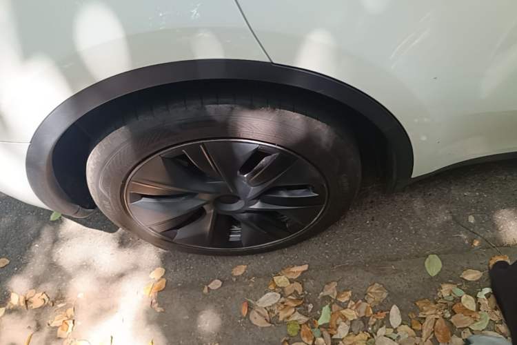Used Tesla Model Y 2024 Rear-Wheel-Drive Version Exterior 5
