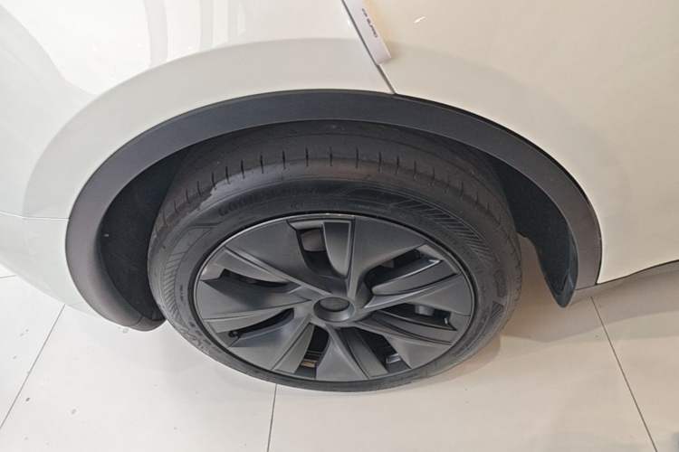 Used Tesla Model Y 2024 Rear-Wheel-Drive Version Exterior 5