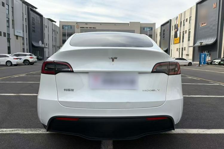 Used Tesla Model Y 2024 Rear-Wheel-Drive Version Exterior 5