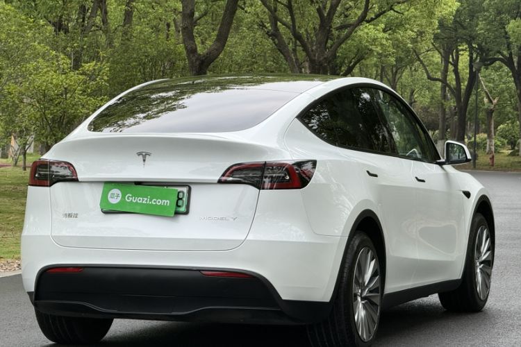 Used Tesla Model Y 2024 Rear-Wheel-Drive Version Exterior 5