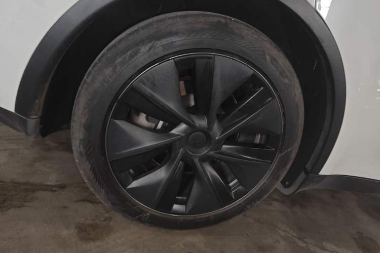 Used Tesla Model Y 2024 Rear-Wheel-Drive Version Exterior 5