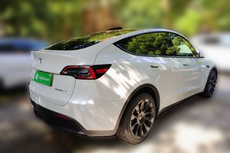 Used Tesla Model Y 2024 Long-Range All-Wheel-Drive Version Exterior 5