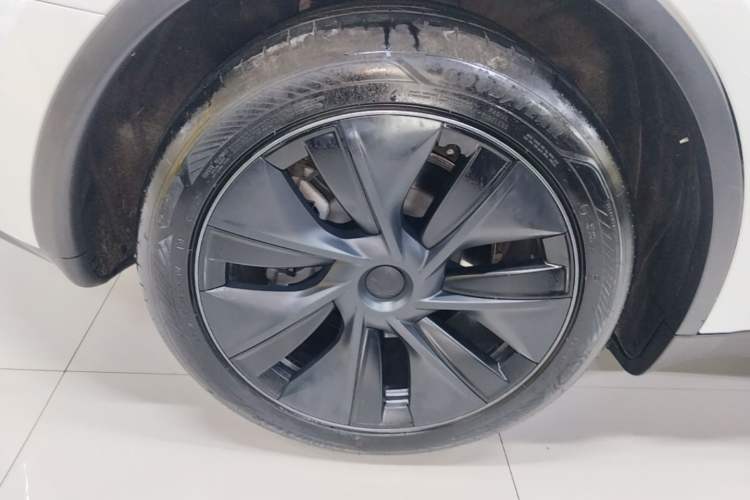 Used Tesla Model Y 2024 Rear-Wheel-Drive Version Exterior 5