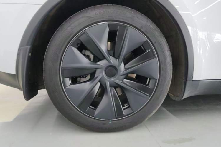 Used Tesla Model Y 2024 Rear-Wheel-Drive Version Exterior 5