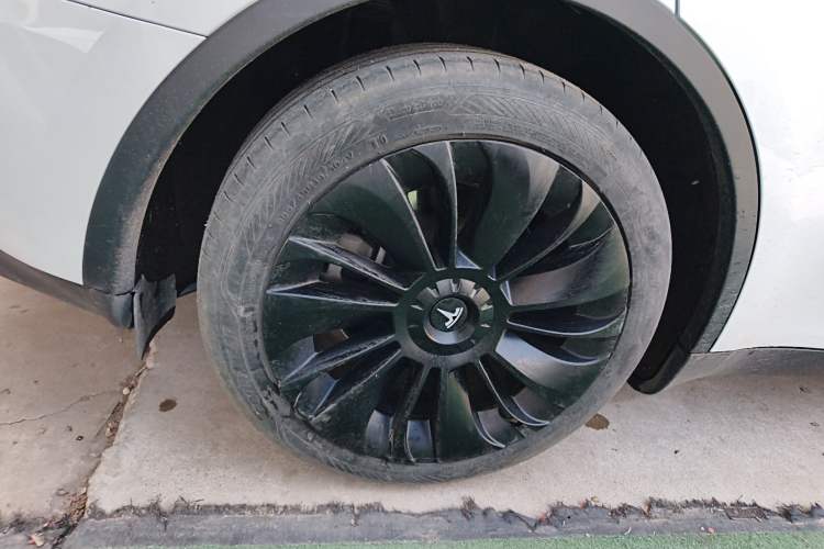 Used Tesla Model Y 2024 Rear-Wheel-Drive Version Exterior 5