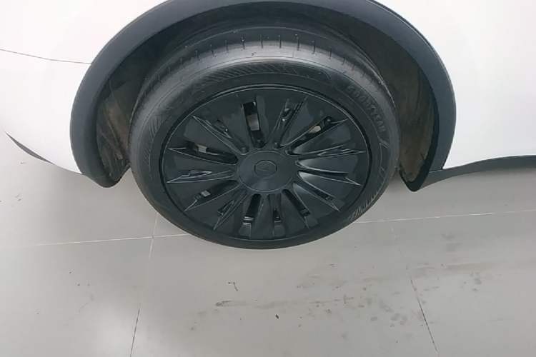 Used Tesla Model Y 2024 Rear-Wheel-Drive Version Exterior 5