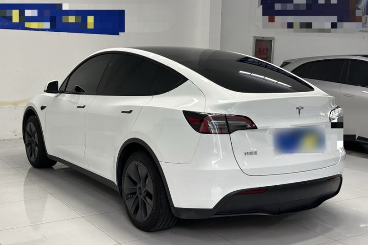 Used Tesla Model Y 2024 Rear-Wheel-Drive Version Exterior 6