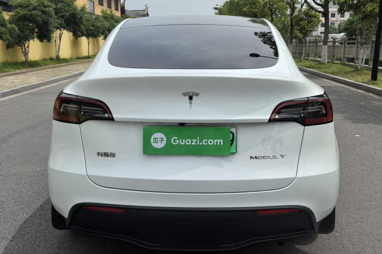Used Tesla Model Y 2024 Rear-Wheel-Drive Version Exterior 6