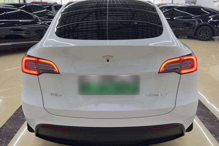 Used Tesla Model Y 2024 Rear-Wheel-Drive Version Exterior 6