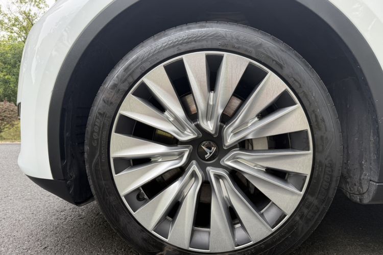 Used Tesla Model Y 2024 Rear-Wheel-Drive Version Exterior 6