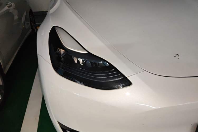Used Tesla Model Y 2024 Rear-Wheel-Drive Version Exterior 6