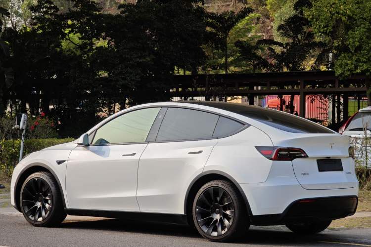 Used Tesla Model Y 2024 Rear-Wheel-Drive Version Exterior 6
