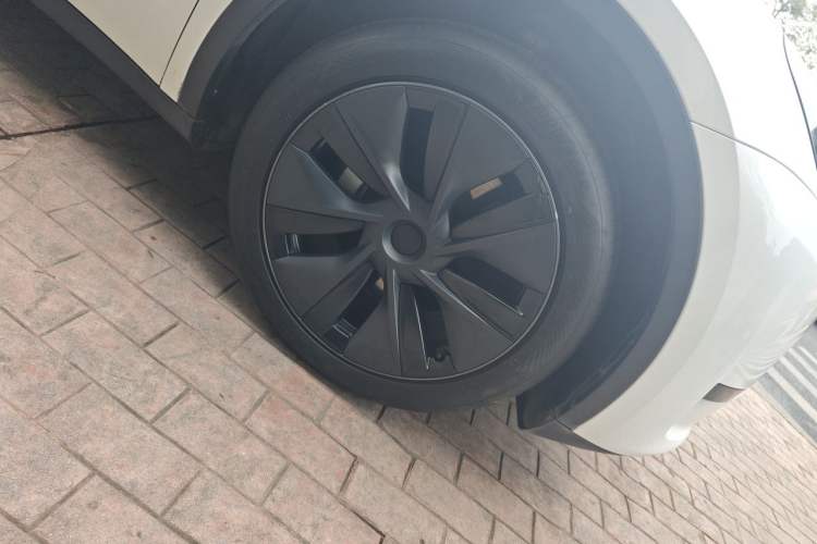 Used Tesla Model Y 2024 Rear-Wheel-Drive Version Exterior 7