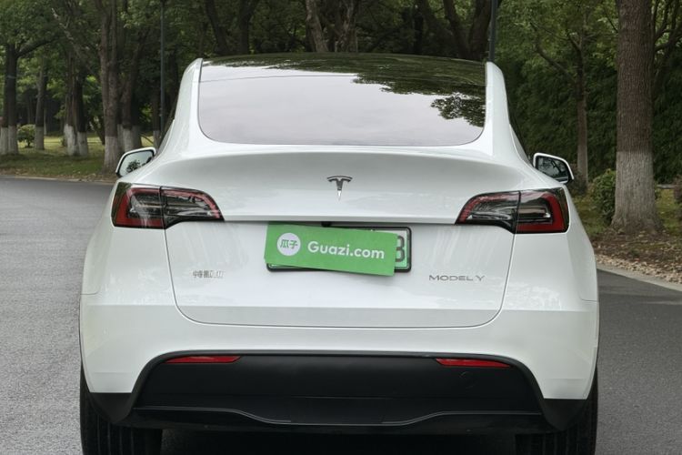 Used Tesla Model Y 2024 Rear-Wheel-Drive Version Exterior 7